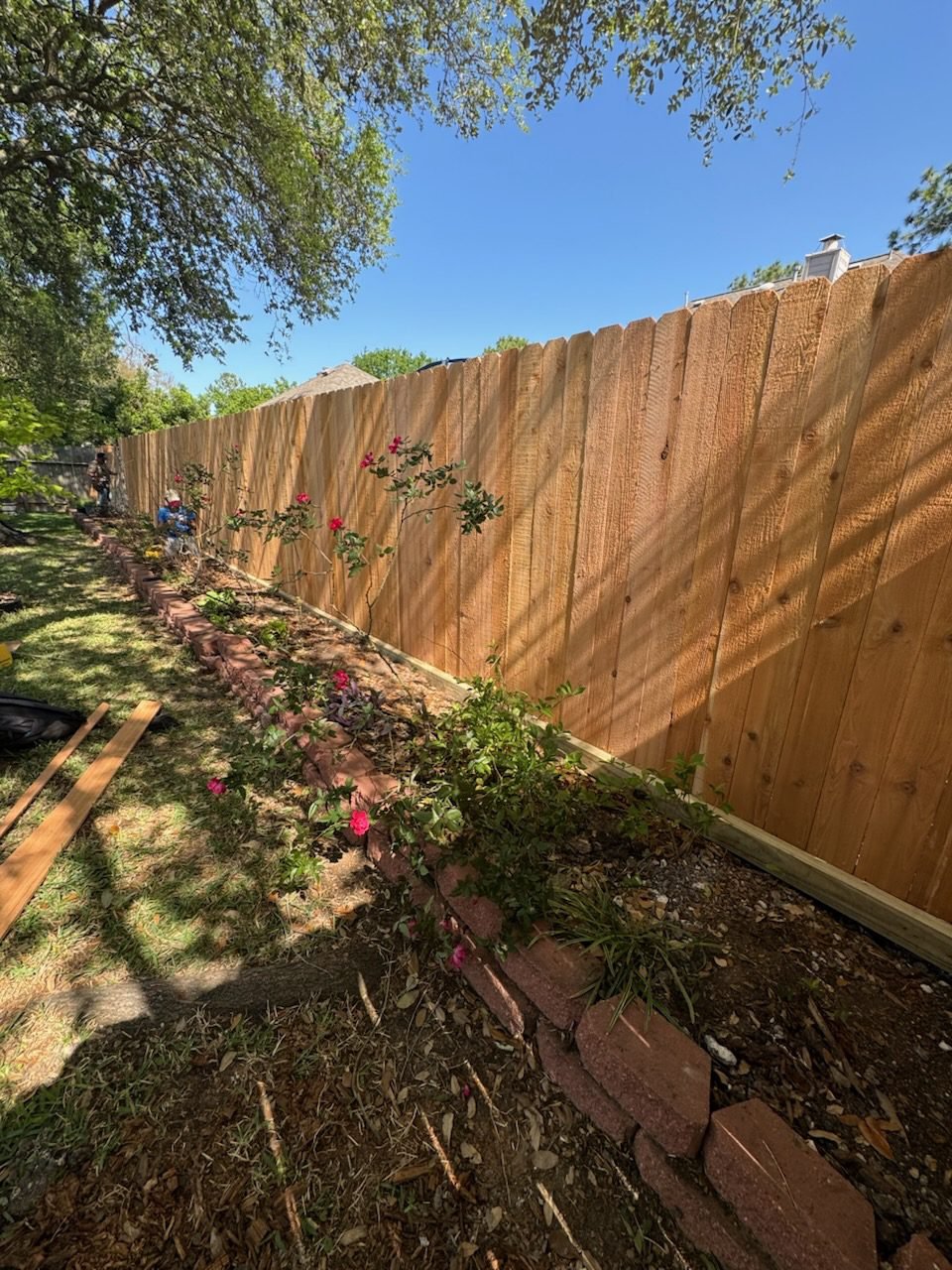 082572ed3cf646b6a9f10981ae81251d