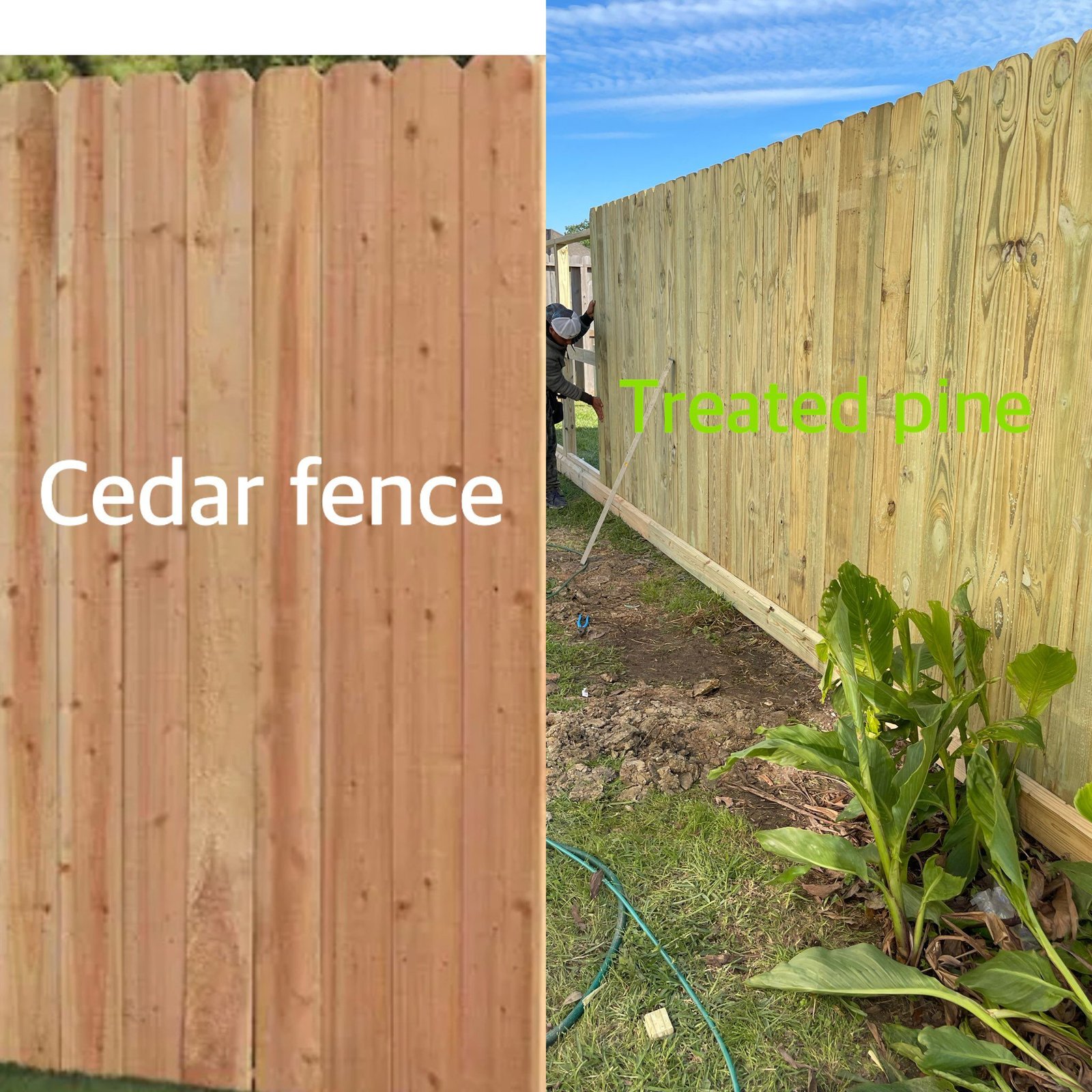 155ad9cee77c4017a5518e8b956525e6