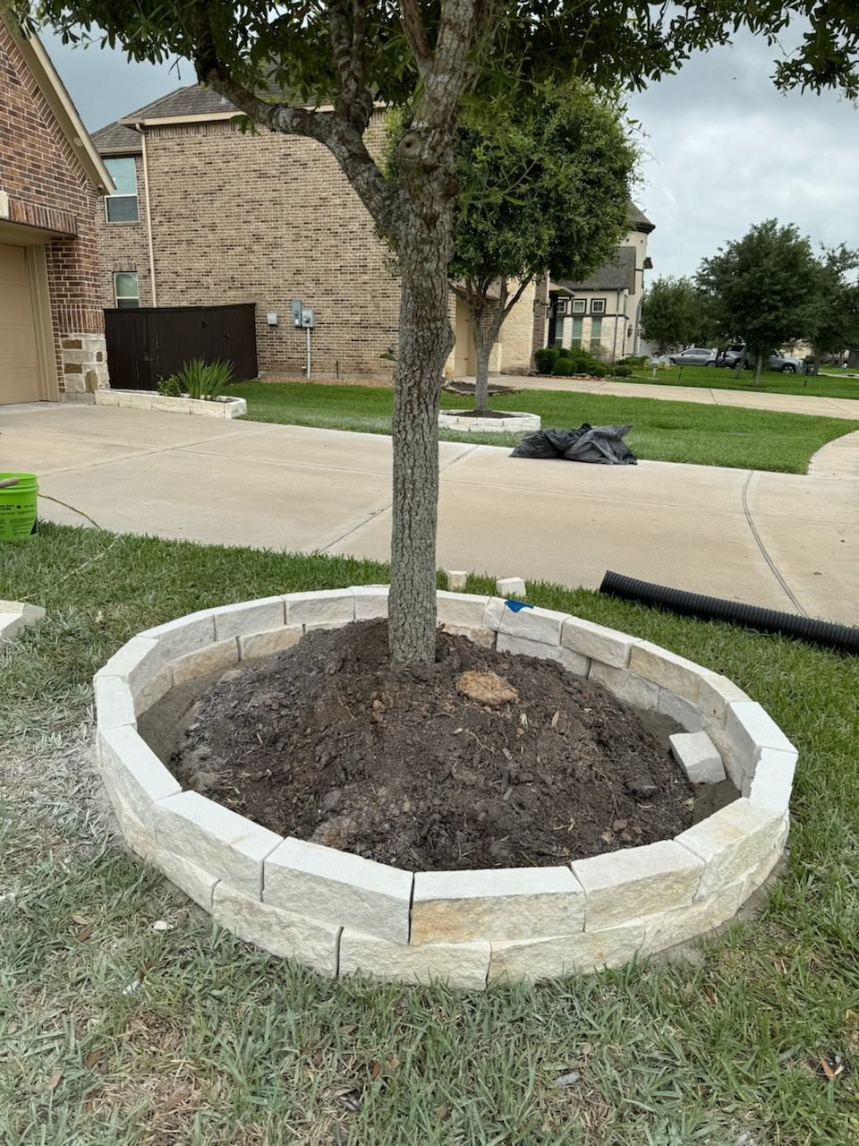 53850db5d1d54fe69396317478a68de7